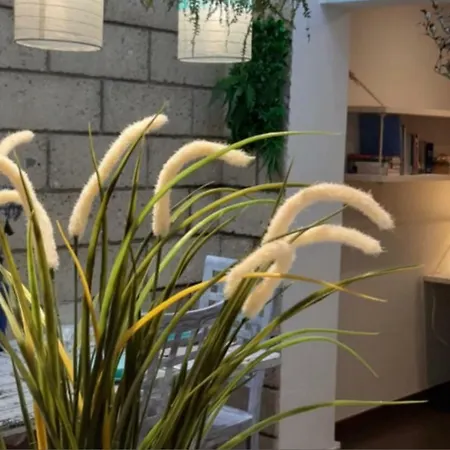 Appartement Romantica Cruz
